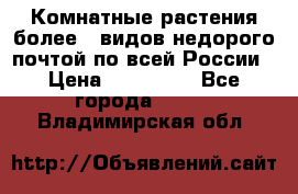 Комнатные растения более200видов недорого почтой по всей России › Цена ­ 100-500 - Все города  »    . Владимирская обл.